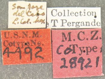 Media type: image; Entomology 28921   Aspect: labels